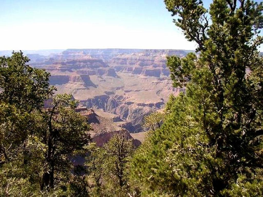 107  USA LE GRAND CANYON 2005_000019.jpg
